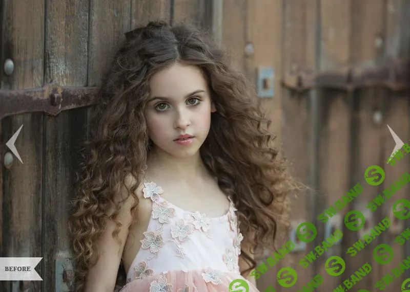 [Greater Than Gatsby] The Complete LR/ACR Presets Bundle