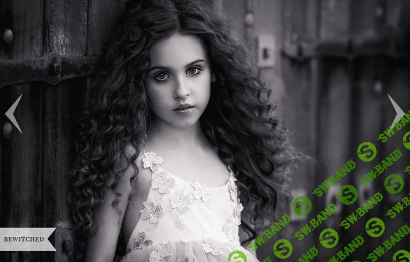 [Greater Than Gatsby] The Complete LR/ACR Presets Bundle