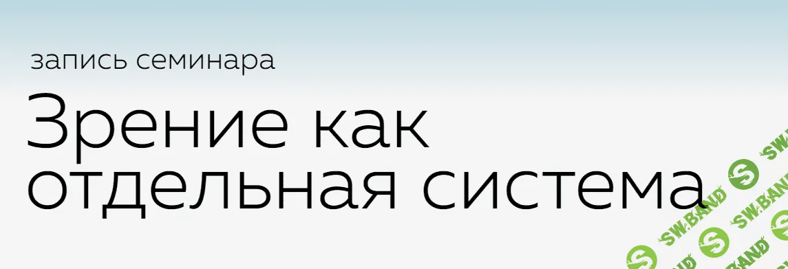 [Григорий Крутов, Кирилл Копыльцов] Зрение как отдельная система (2023)
