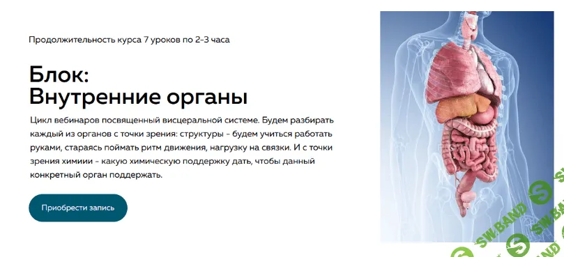 [Григорий Крутов] Внутренние органы (2022)