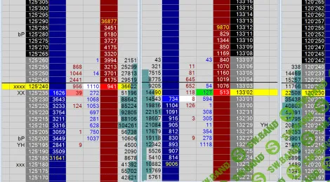 [guruVSA] Секреты торговли по стакану и ленте принтов