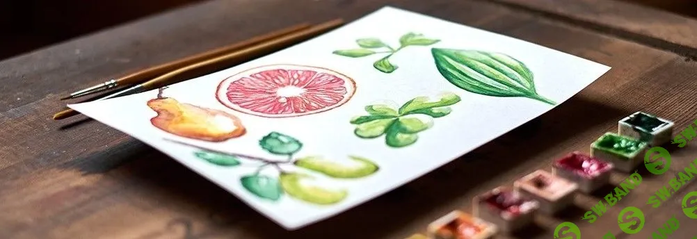 [Highlights] Онлайн-курс по основам создания иллюстраций (2019)