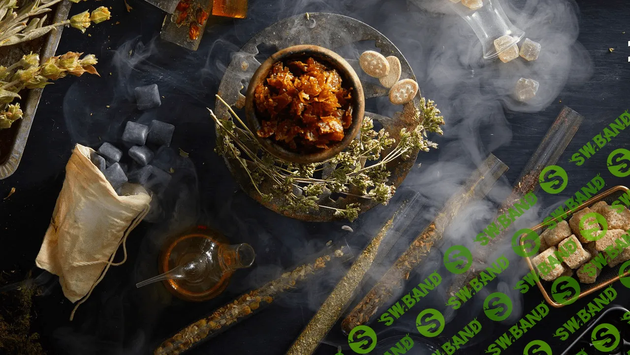 [hookah.school] Курс профессионального кальянщинка (2019)