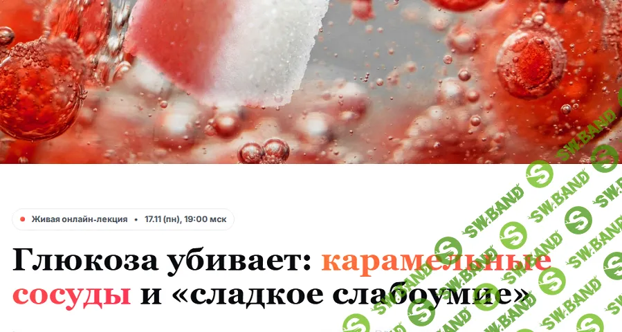 [Humberto 2.0, Елена Иванова] Глюкоза убивает: карамельные сосуды и «сладкое слабоумие» (2025)