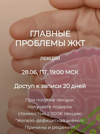 [Humberto 2.0] Главные проблемы ЖКТ (2024)