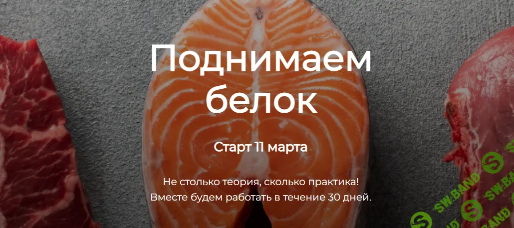 [Humberto 2.0] Поднимаем белок (2024)