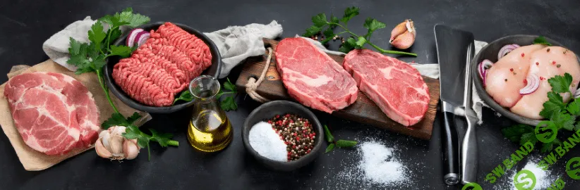 [humberto 2.0, Валерий Подрубаев] Карнивор. Специально для тех, кто пропустил Карниворлагерь (2023)