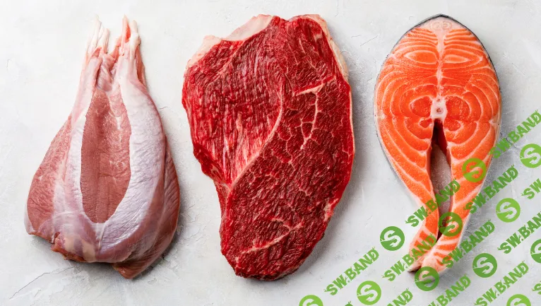 [Humberto.2.0, Валерий Подрубаев] Суть карнивор питания (2022)