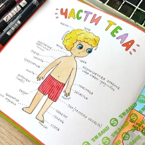 [hurlyburlyschool] Окружающий мир. 15 блок (2024)