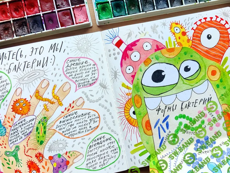 [Hurlyburlyschool] Окружающий мир. 9 блок (2023)