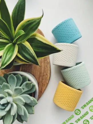 [Hygge Beton] Обучение в клубе мастеров Hygge Beton (2025)