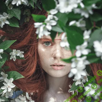 [Idea-Class] Анализ внешности