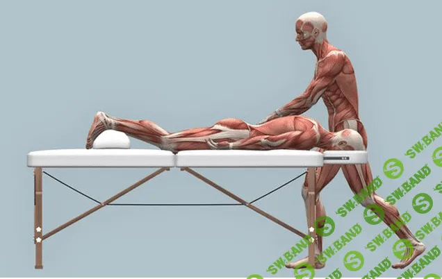 [Игорь Атрощенко] Алгоритм всесторонней проработки желудка с помощью мягких техник мануальной терапии (2019)