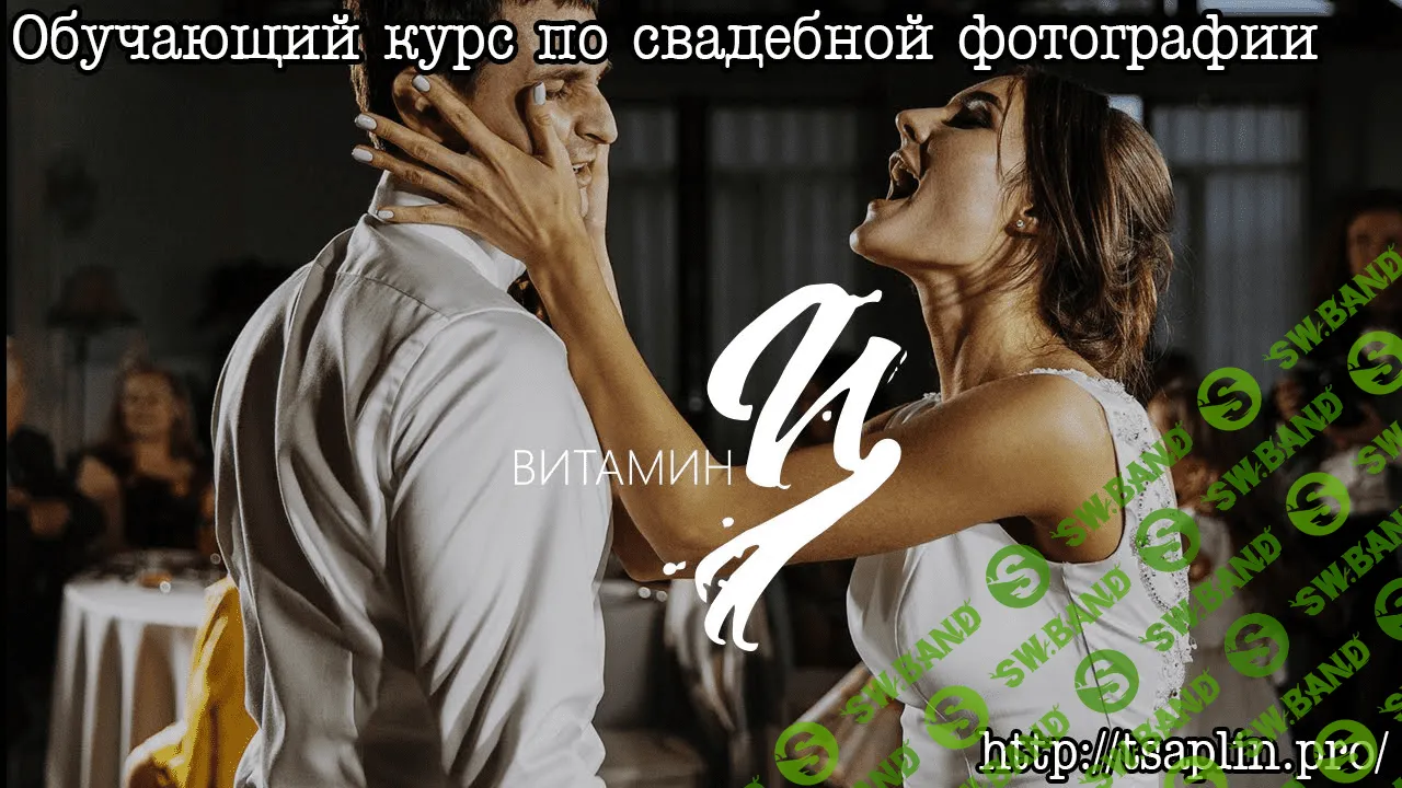 [Игорь Цаплин] Свадебный видеокурс (2016)