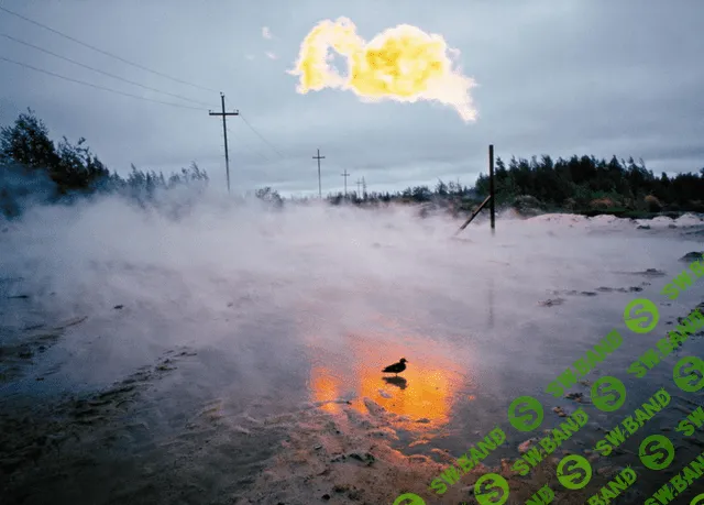 [Игорь Гаврилов] Интенсивный курс профессиональной фотографии (2021)