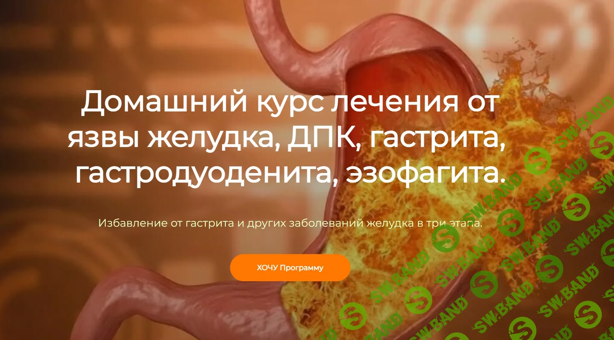 [Игорь Кауфман] Домашний курс лечения от язвы желудка, ДПК, гастрита, гастродуоденита, эзофагита (2024)