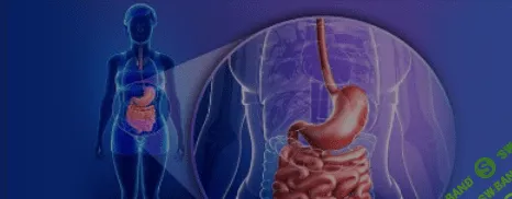 [Игорь Кауфман] Восстановление ЖКТ (2021)