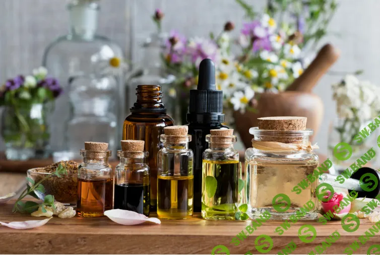 [Илья Чумаков] Эфирные масла и онкология. День 2 (2024)