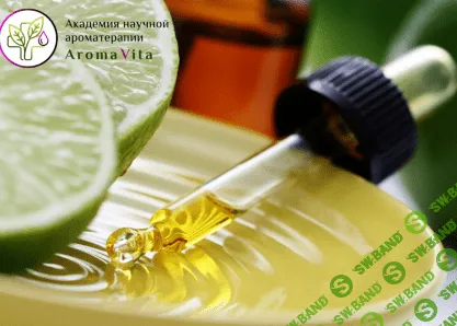 [Илья Чумаков] Внутреннее применение эфирных масел (2022)