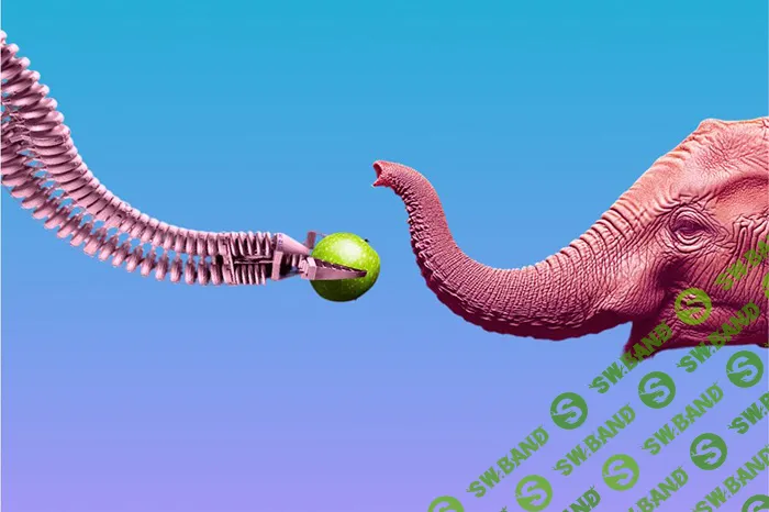 [Илья Гомыранов, Прямая речь] Удивительные изобретения природы. Интерактивная научная лекция для детей (7+) и их родителей (2024)