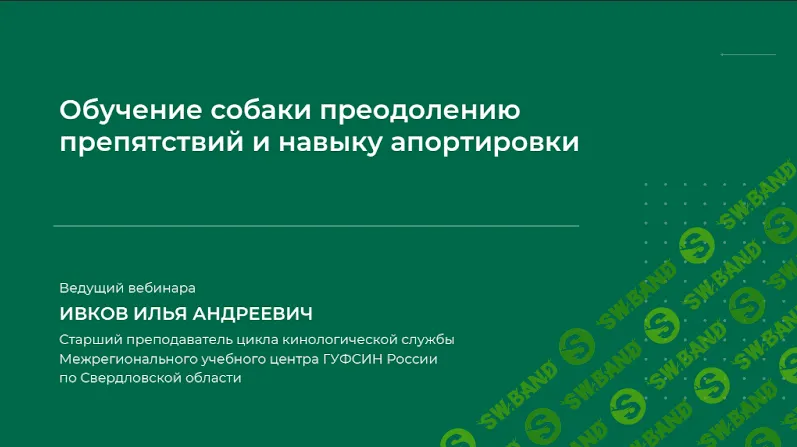 [Илья Ивков] Обучение собаки преодолению препятствий и навыку апортировки (2023)