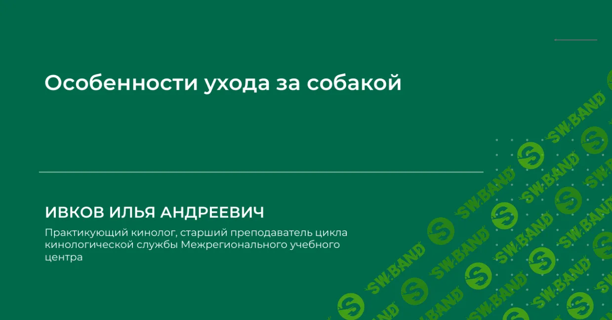 [Илья Ивков] Особенности ухода за собакой (2024)