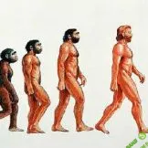 [Илья Колмановский] Происхождение человека (2020)