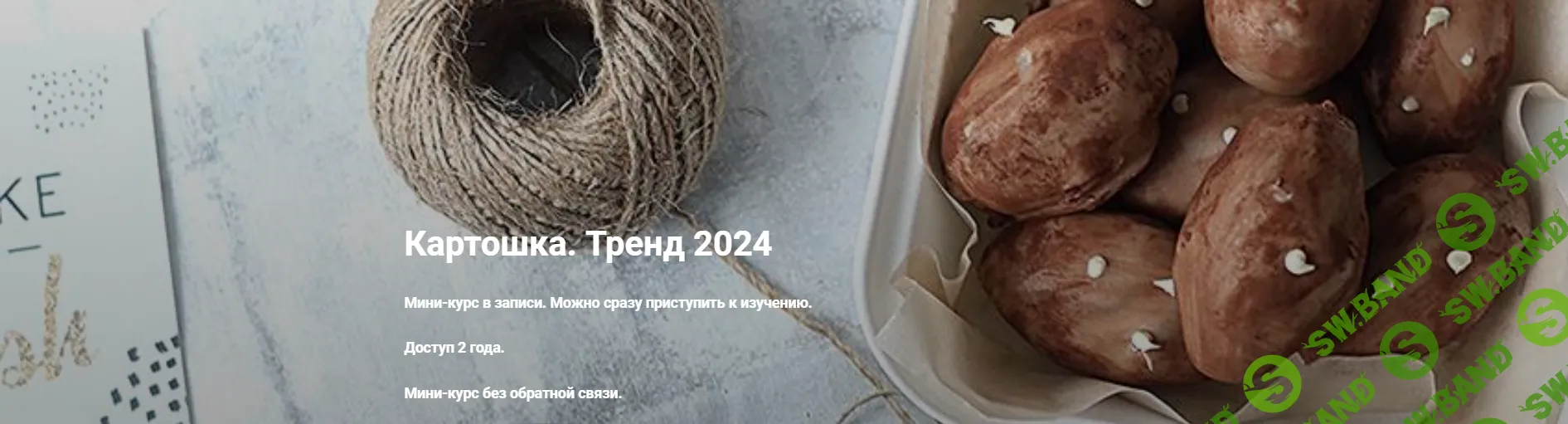 [Ильзира Карагузина] Картошка. Тренд 2024 (2024)