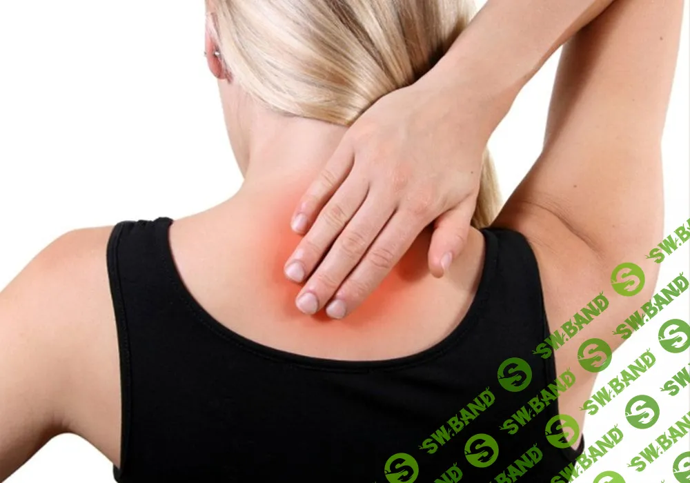 Иммунитет зависит от состояния позвоночника