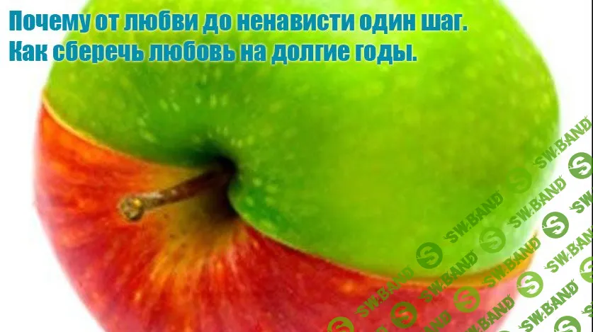 [Инесса Власова] Почему от любви до ненависти один шаг. Как сберечь любовь на долгие годы