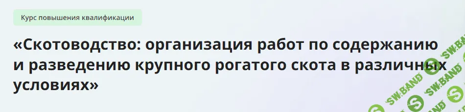 [Инфоурок] Организация работ по содержанию и разведению крупного рогатого скота (2024)