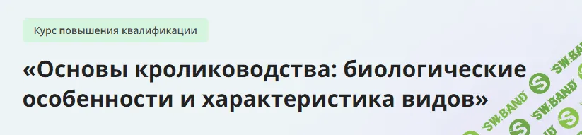 [Инфоурок] Основы кролиководства - биологические особенности и характеристика видов (2024)