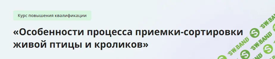 [Инфоурок] Особенности процесса приемки-сортировки живой птицы и кроликов (2024)