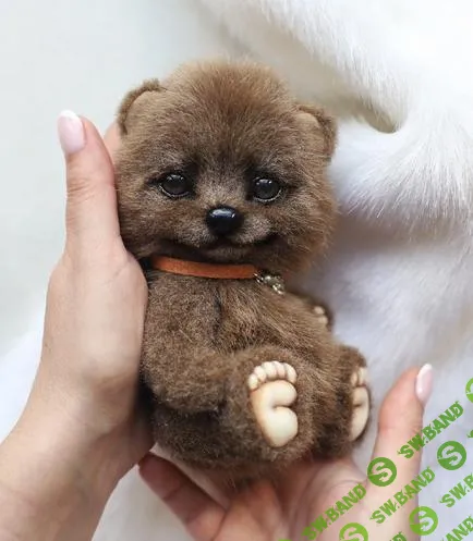 [Инна Борзенкова] Медвежонок (2023)