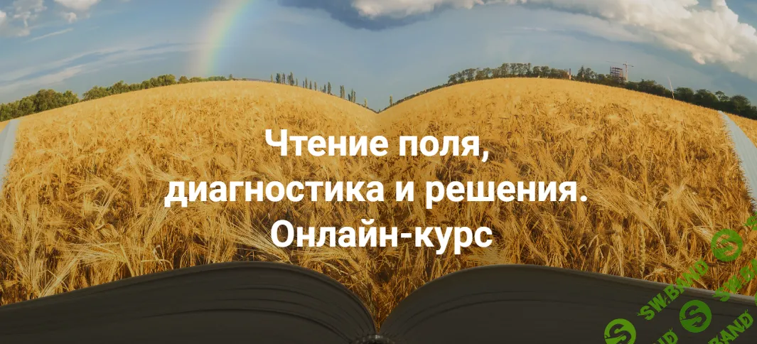 [Институт открытого поля] Чтение поля, диагностика и решения. Расстановки и полевая терапия. (2024)