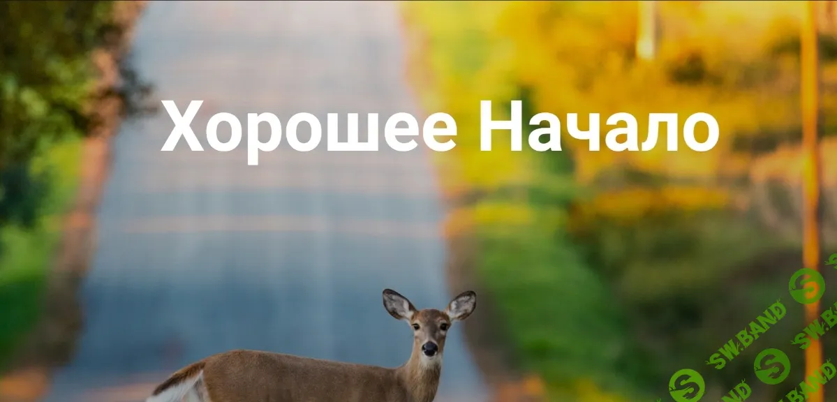 [Институт Открытого поля, Елена Веселаго] Хорошее начало (2026)