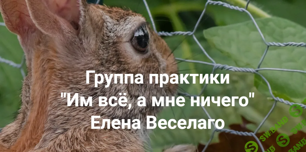 [Институт открытого поля] Им всё, а мне ничего (2024)