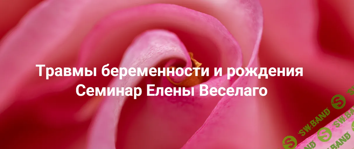 [Институт открытого поля] Травмы беременности и рождения (2024)