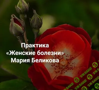 [Институт открытого поля] Женские болезни (2023)