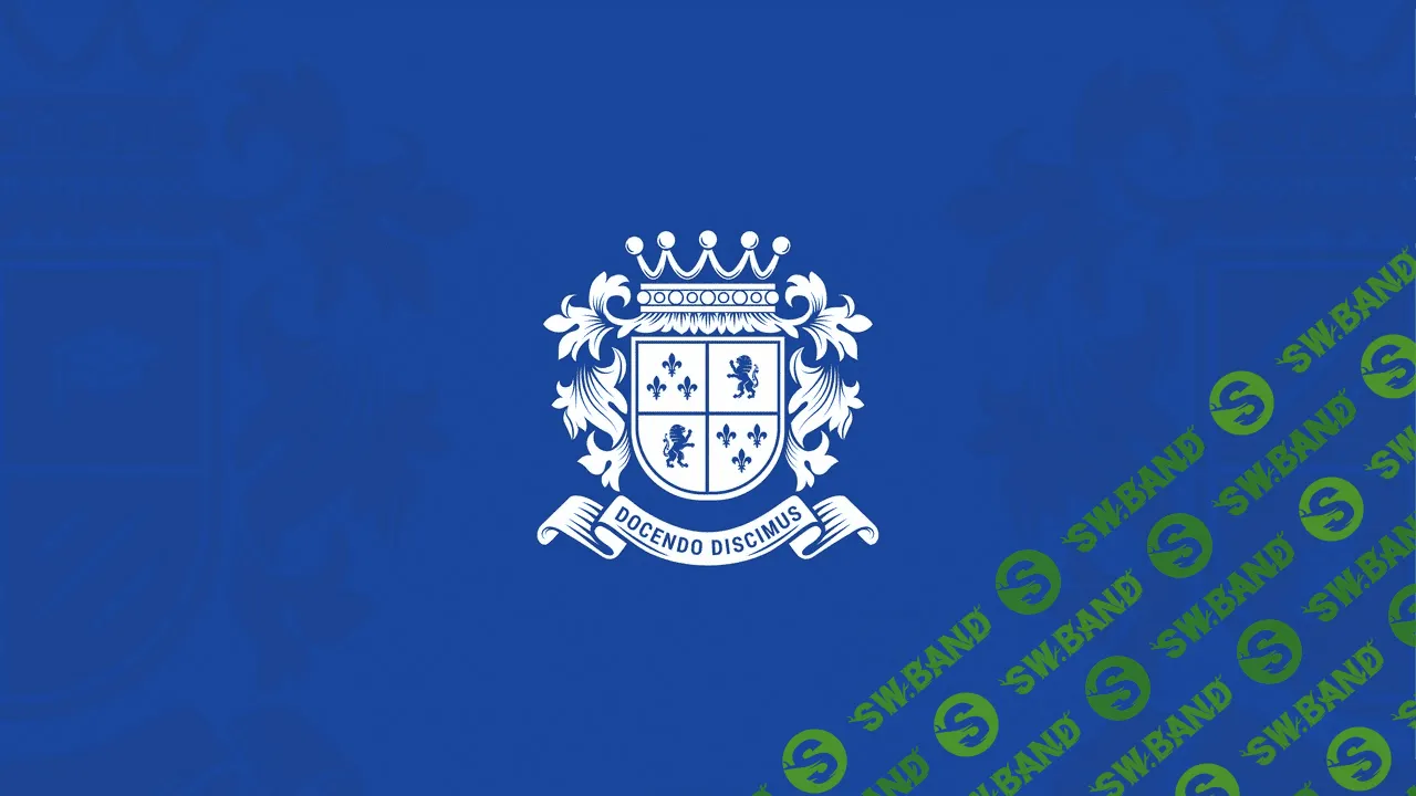 Институт профессионального образования