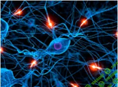 ИНТЕРАУРА - Нормализация работы нервной системы [ЭКСКЛЮЗИВ]