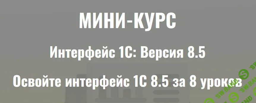 Интерфейс 1С: Версия 8.5 [Низамутдинов Ильяс]