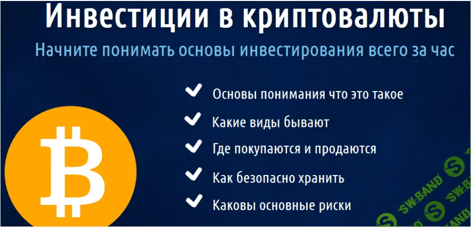 Инвестиции в криптовалюты - Черемушкин (2017)