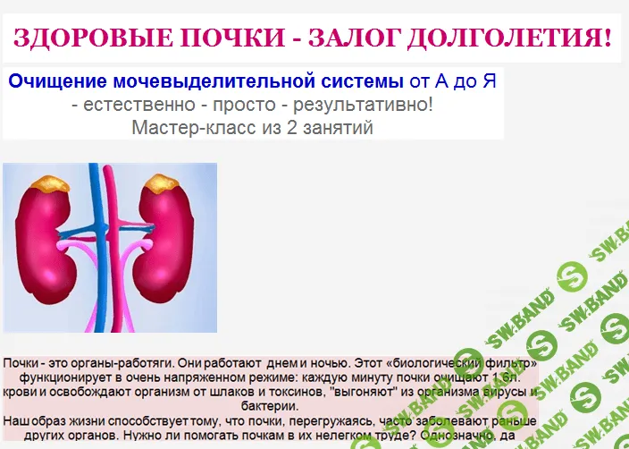 [Ирина Дудник] Почки, это должен знать каждый...