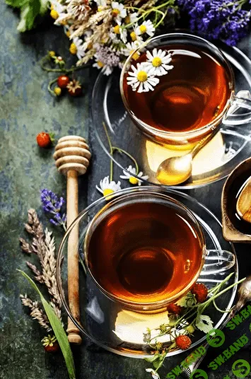 [Ирина Гудаева] Чайные травы и травяные чаи (01.06.2022)