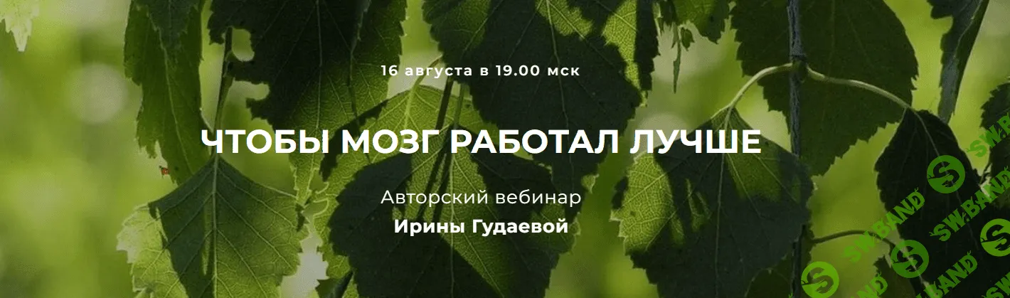[Ирина Гудаева] Чтобы мозг работал лучше (2023)