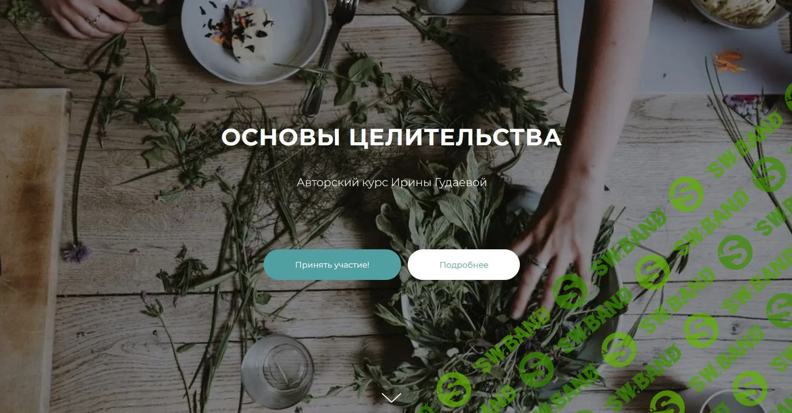 [Ирина Гудаева] Основы целительства (2022)