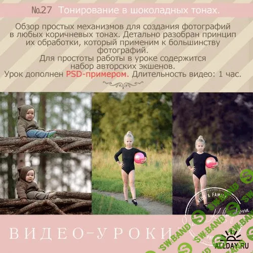 [Ирина Калмыкова] Урок № 27. Тонирование в шоколадных тонах (2016)