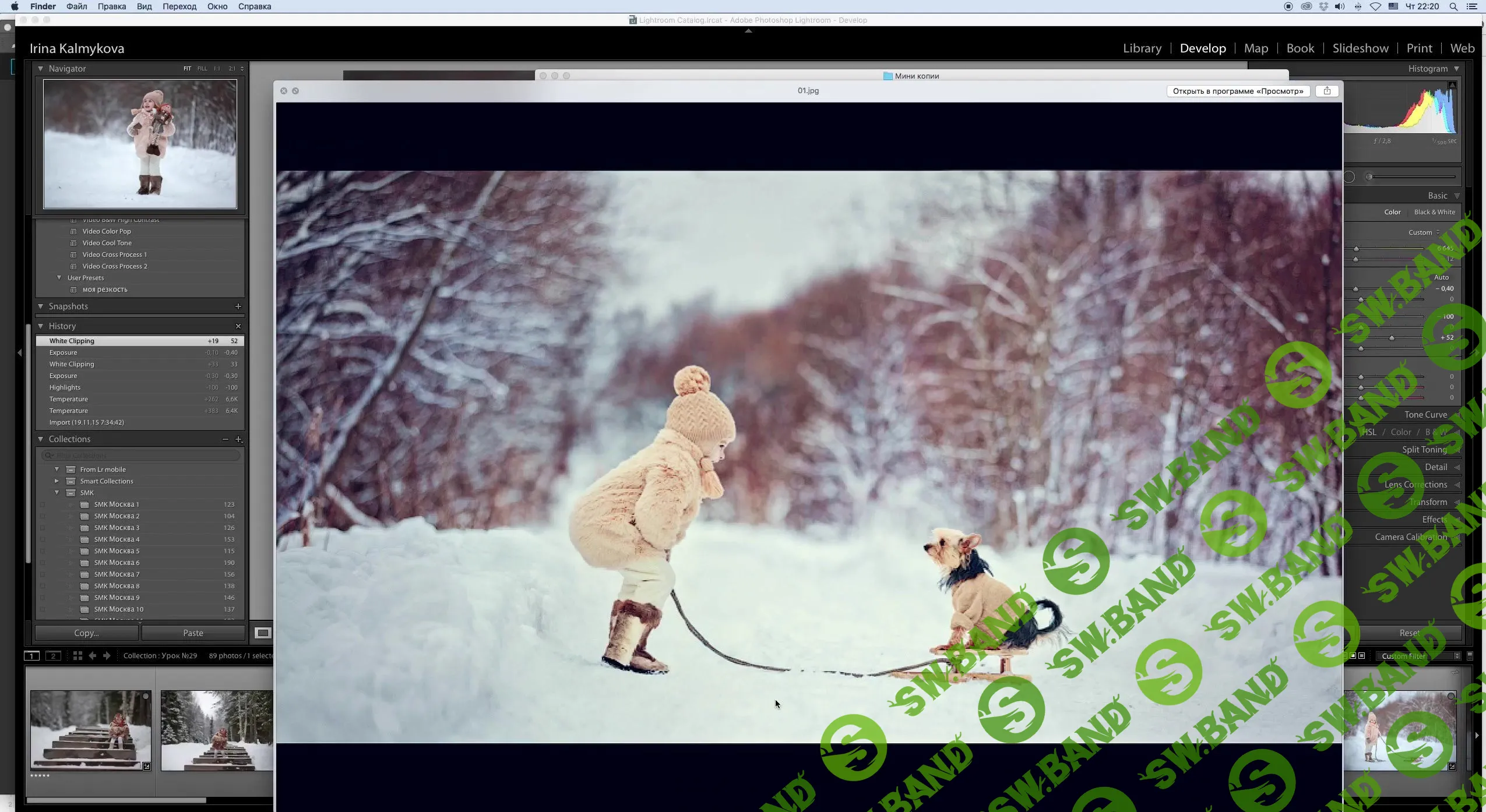 [Ирина Калмыкова] Урок № 29. Зимний лес (2016)