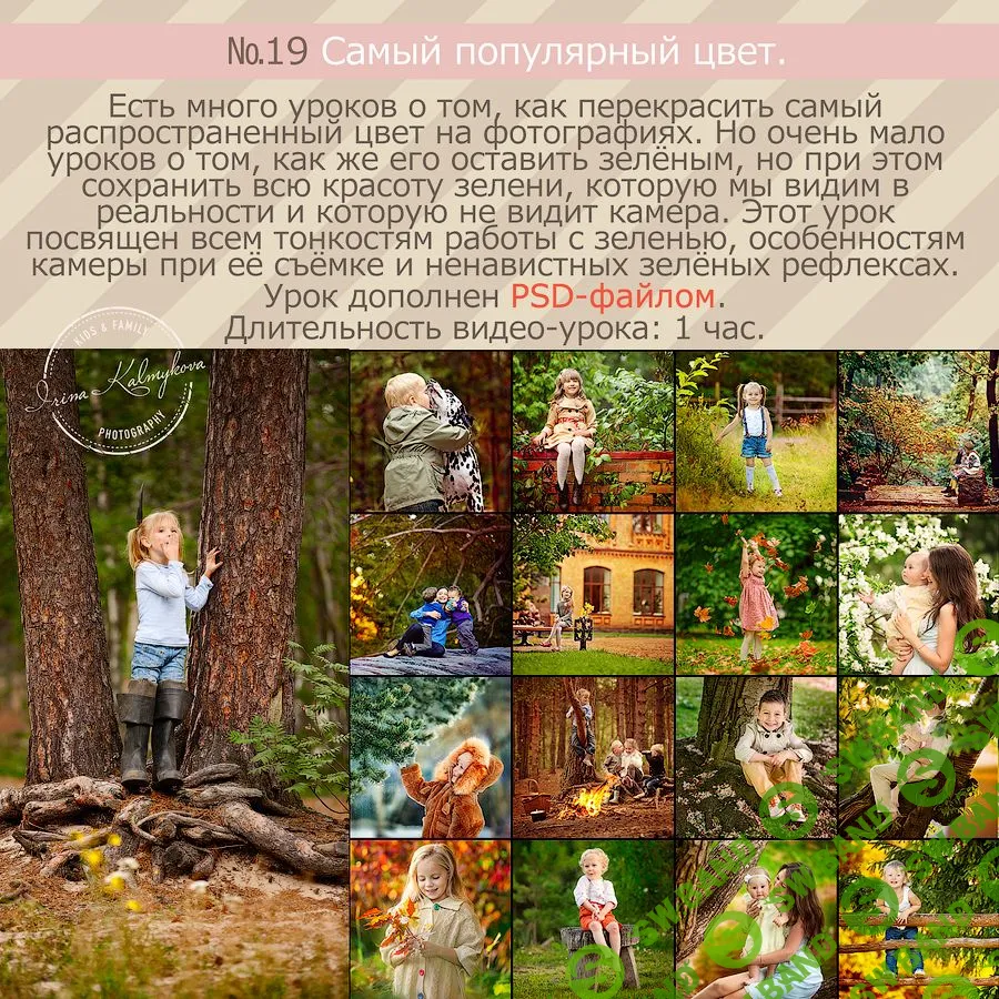[Ирина Калмыкова] Урок №19 «Самый популярный цвет»